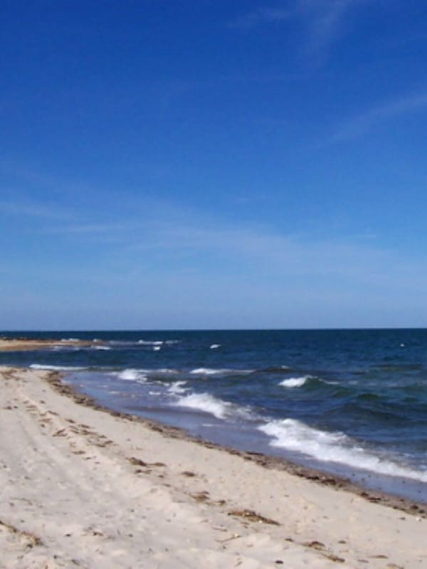 Beautiful Cape Cod Bay beaches just a mile from the house.