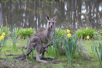 A little warmth in the heart of the central highlands