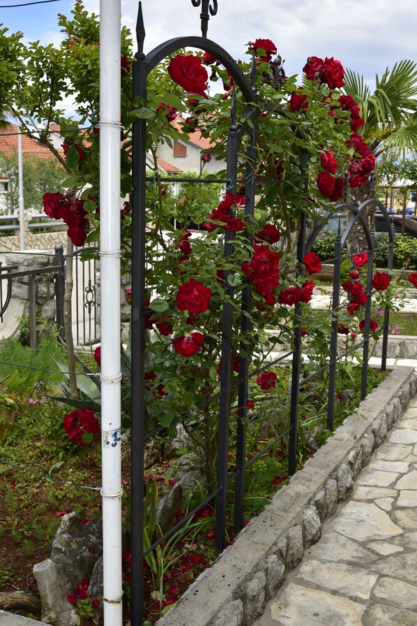 Jardim