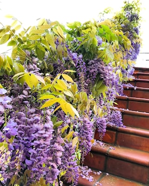 Stairs to sundeck