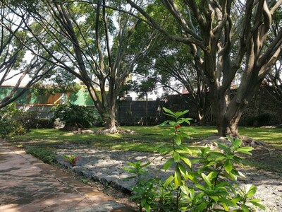 La Palma, Crucero Tezoyuca (Bungalow completo)