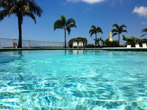 Newly renovated pool, crystal clear water!