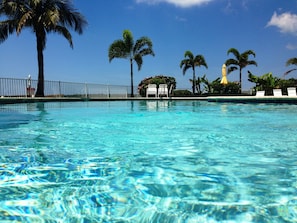Newly renovated pool, crystal clear water!
