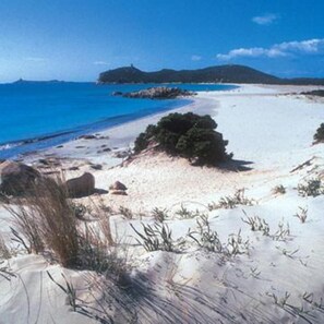 Strand