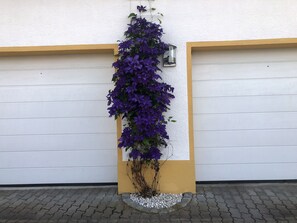 Detalj exteriör
