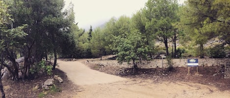 Property grounds