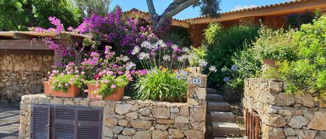 Jardines del alojamiento