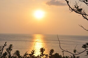 Vue sur la plage/l’océan