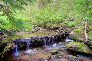 Boendeområde