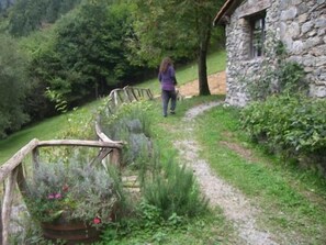 Terrain de l’hébergement 