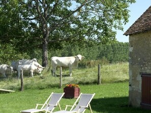 Boendeområde