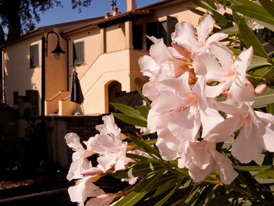 ¡Apartamento en el campo verde con piscina, a solo 4 km del mar!