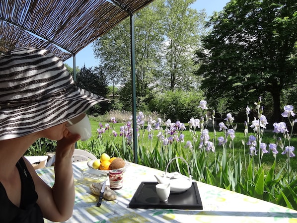 Terrasse privée du Noisetier avec vue sur le parc et ses Iris début mai !