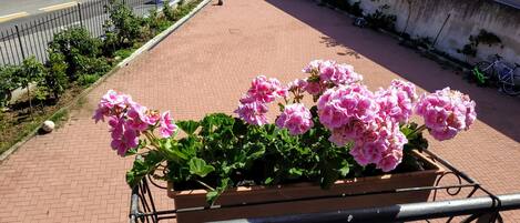 Vista dal balcone sul grande cortile privato