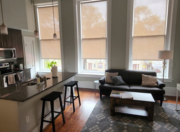 Living room/kitchen area 