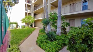 City, House, Neighborhood, Nature, Outdoors