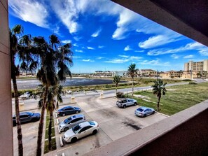 Outdoors, City, Tree, Palm Tree, Urban
