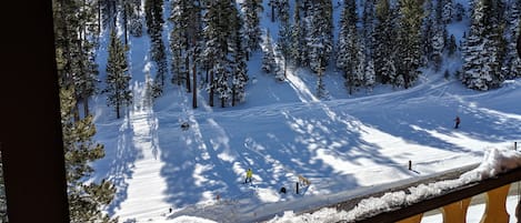 Winter view from the deck.  