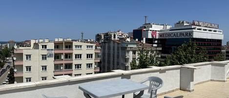 Terras