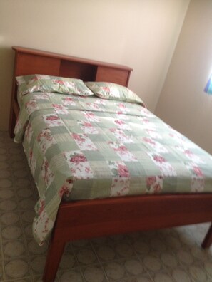 Second bed room with full size bed