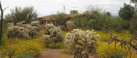 Guest house in the Springtime 