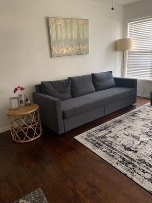 Living room with queen sofa bed