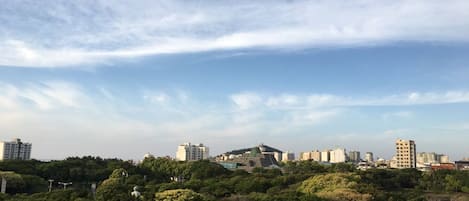 view from living room balcony