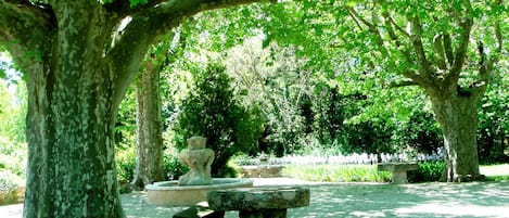 Jardines del alojamiento