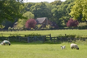 The Annex is on the right hand side and is surrounded by woodland and paddocks