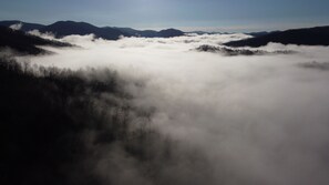 A drone's perspective of the morning mist before it burns off for the day.