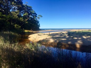 Beach accessed via creek track
