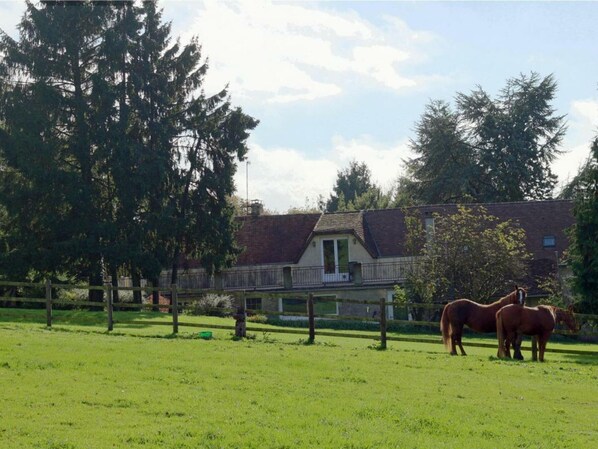 Parco della struttura