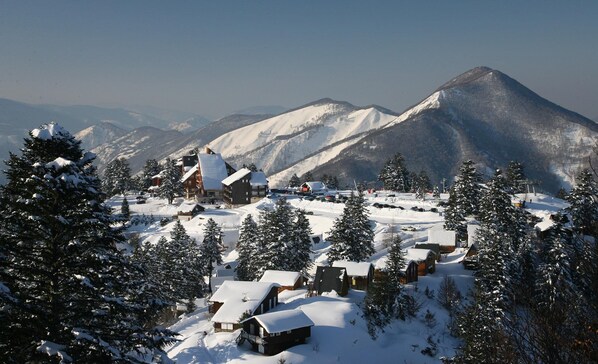 Snow and ski sports