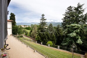 Arbre, Propriété, Architecture, Immobilier, Maison, Domicile, Plante, Jardin, Paysage, Vacances