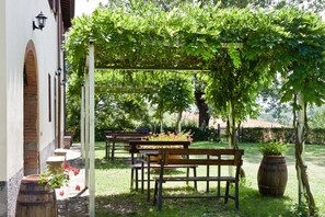 Baum, Eigentum, Tabelle, Möbel, Hinterhof, Terrasse, Garten, Botanik, Grundeigentum, Garten