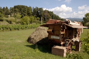 Natürliche Landschaft, Eigentum, Haus, Ländliches Gebiet, Landschaft, Zuhause, Gras, Baum, Gebäude, Grundstueck