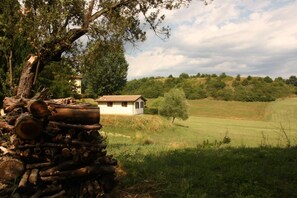 Natur, Baum, Natürliche Landschaft, Natürlichen Umgebung, Ländliches Gebiet, Bauernhof, Gras, Landschaft, Grundstueck, Haus