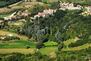 Vegetation, Plant, Natural Landscape, Plant Community, Tree, Landscape, Land Lot, Plain, Rural Area, Residential Area