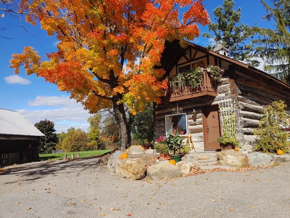 Fall is beautiful here. 