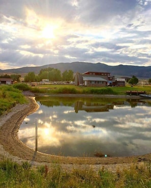 Backyard Pond