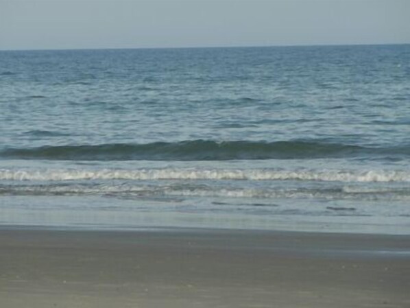 Beautiful beach across the street