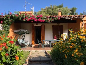 Terassi/patio