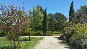 View from terrace