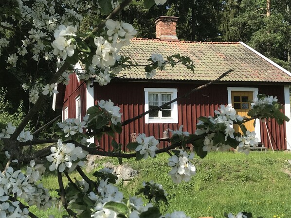 Detalj exteriör