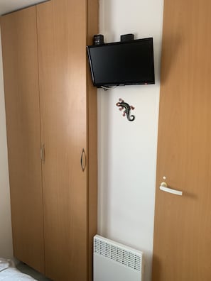 Television