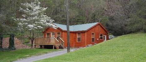 Exterior view of Cabin and driveway