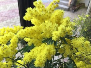 Innendetails