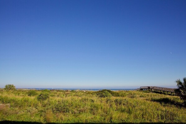 view from ocean front patio