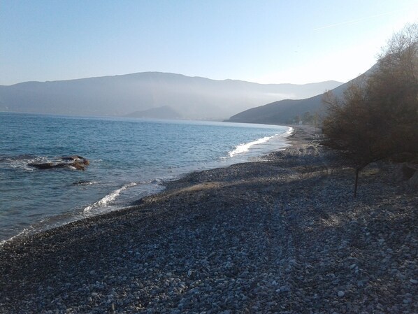 Strand