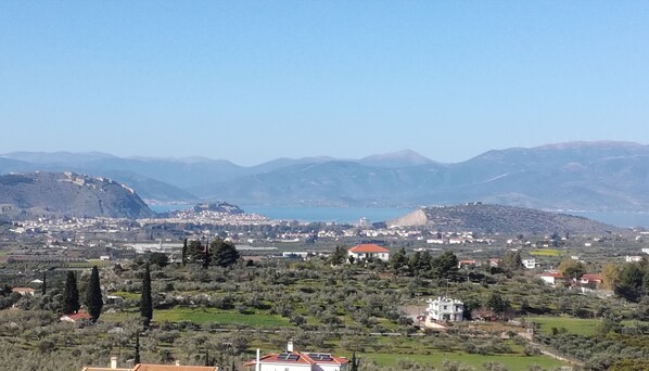 panoramic view 